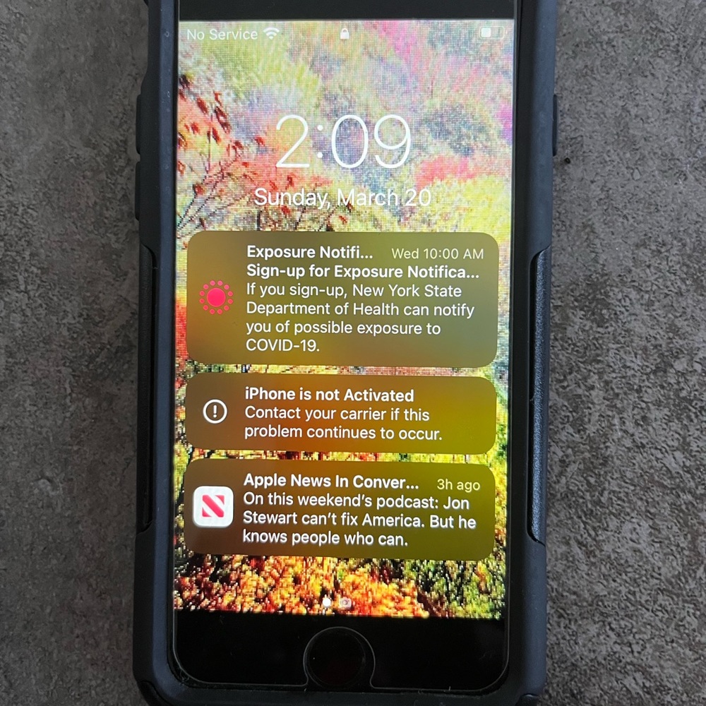 iPhone 6